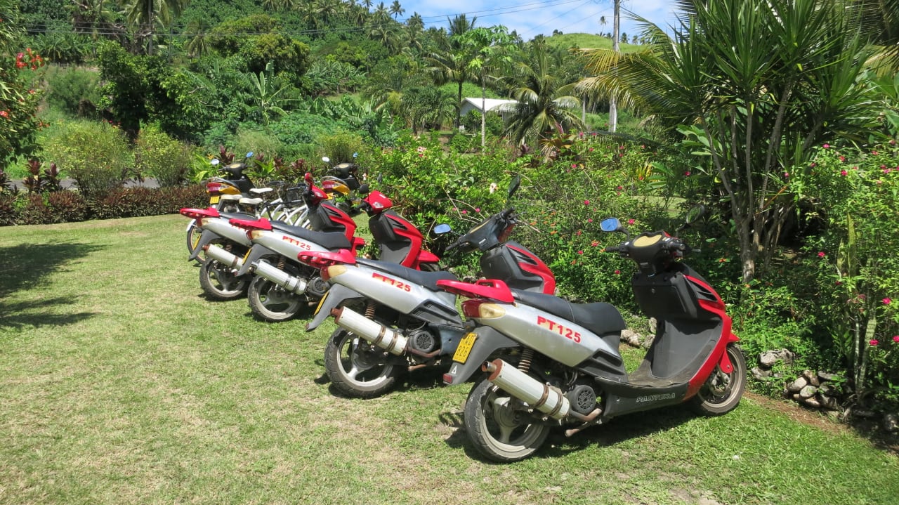 Roller zum Mieten Hotel Paradise Cove