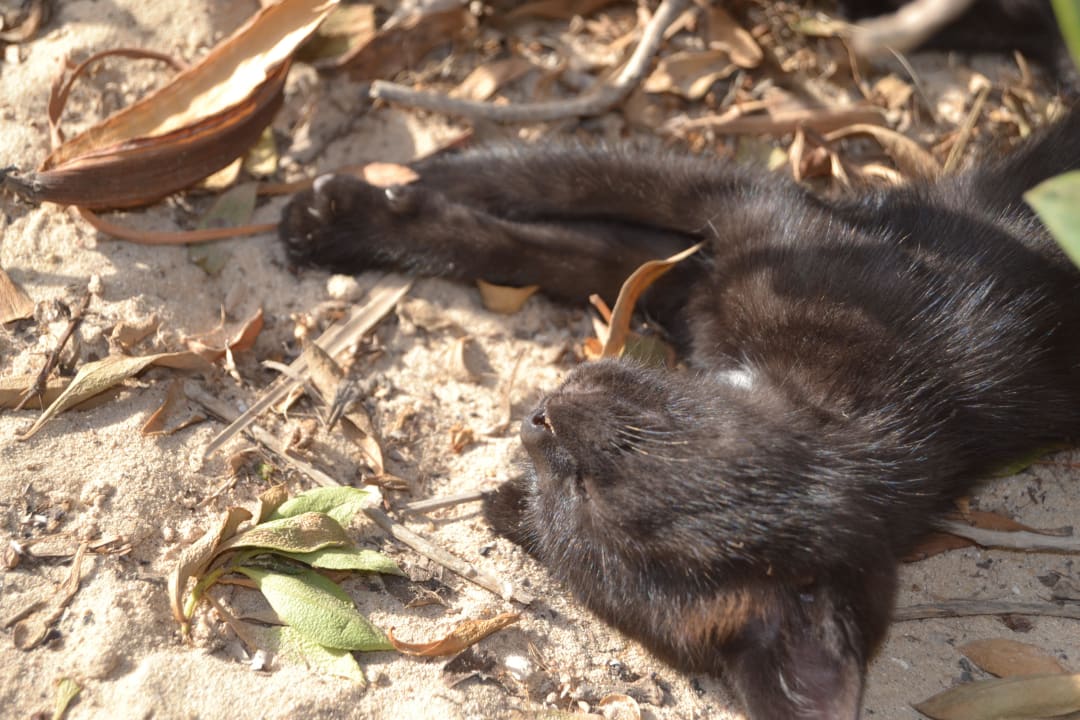 Da geht einem doch das Herz auf Hotel El Mouradi Djerba Menzel