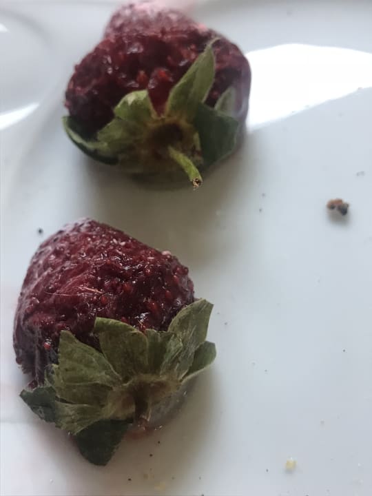 Gastro Hane Family Resort