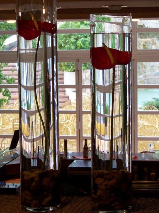 Bar allsun Hotel Bella Paguera