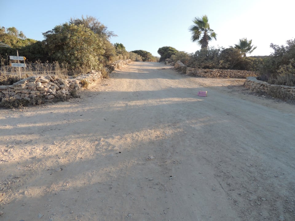 Sehr trostlos und schmutzig ! Comino Hotel & Bungalows