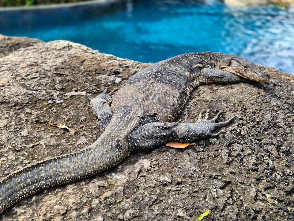 Gartenanlage Khao Lak Merlin Resort