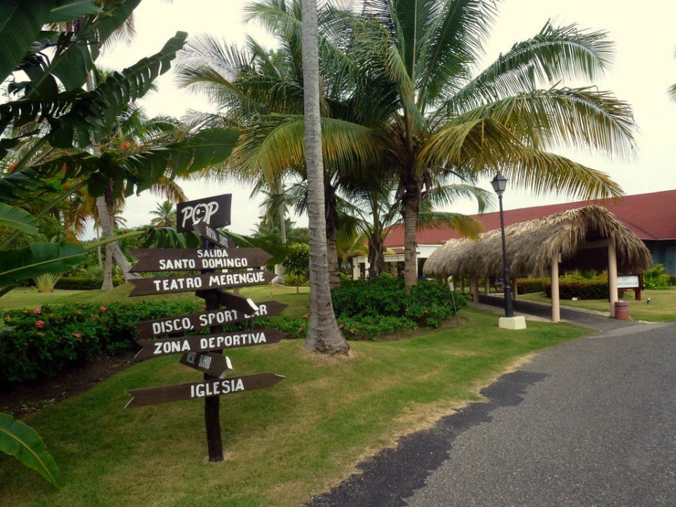 Gourmet & La Chanterelle TRS Turquesa Hotel - Adults only