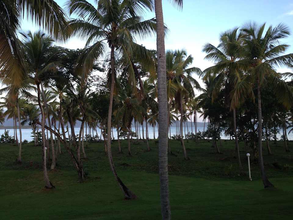 Ausblick vom Zimmer Wyndham Alltra Samana