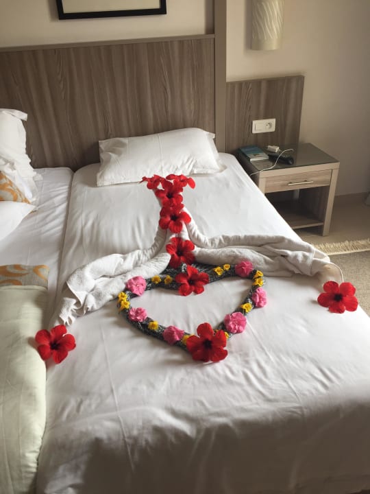 Immer wieder eine Überraschung Iberostar Waves Mehari Djerba