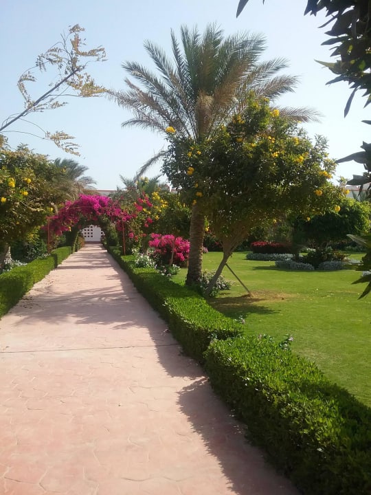 Sehr gepflegt Fantazia Resort Marsa Alam