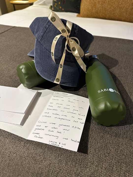 Zimmer Sabi Sabi Bush Lodge