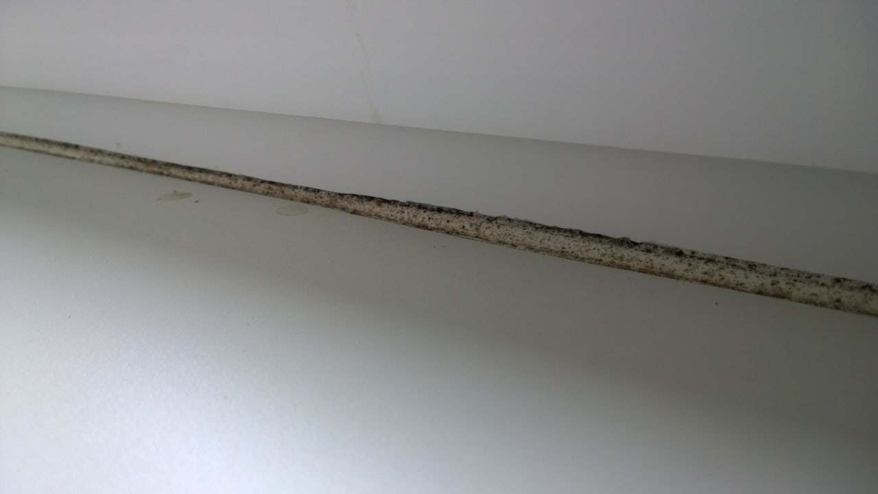 Schimmel am Schlafzimmer Fenster Ferienwohnungen Ferienpark Weissenhäuser Strand