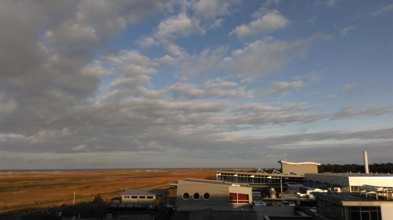 Ausblick. Kategorie Meerblick Strandgut Resort