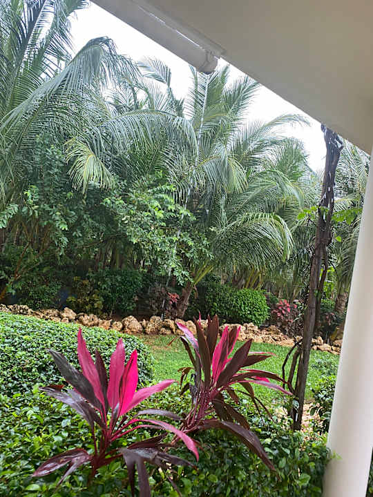 Ausblick Hotel Riu Jambo