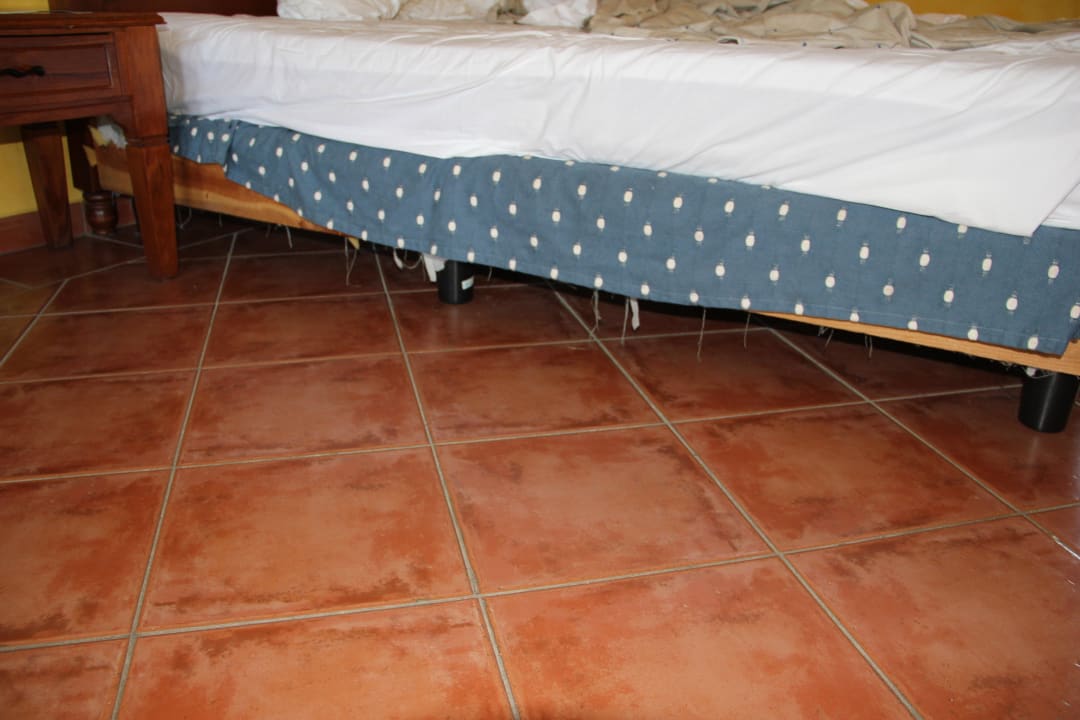 Bett Privilege Cayo Libertad - Adults only