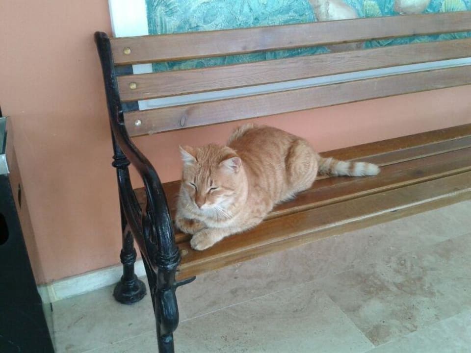 Der Boss Hotel Miramare Beach