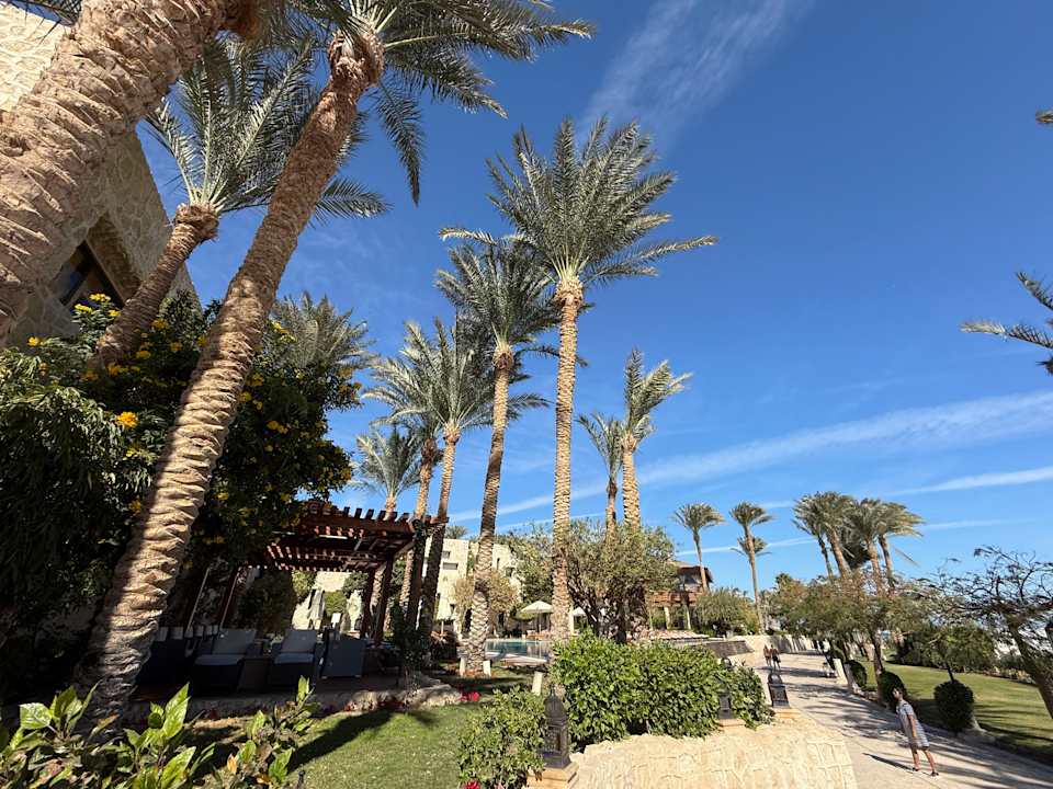 Gartenanlage Makadi Spa - Adults only