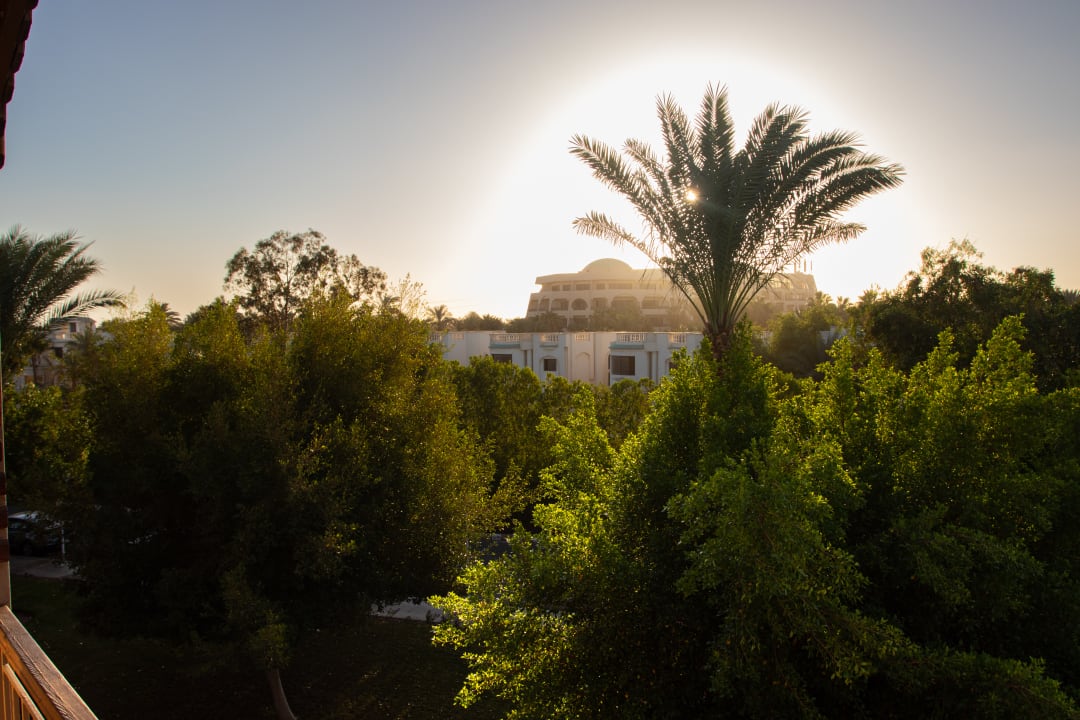 Ausblick Desert Rose