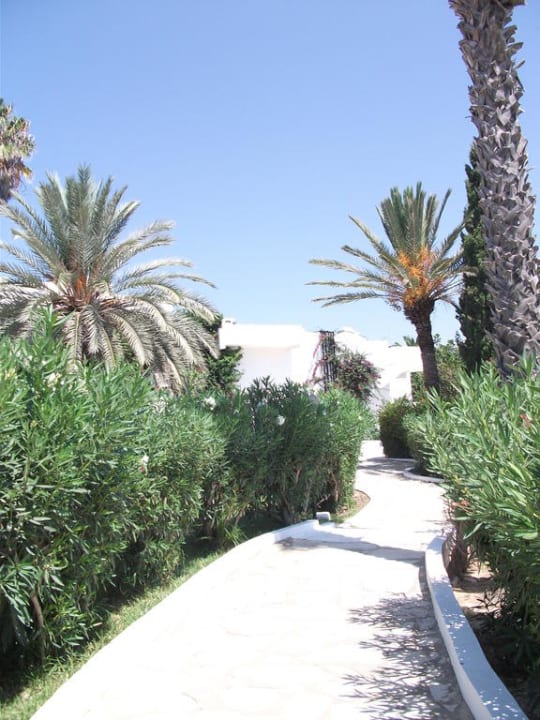 Schön sauber gehalten Hotel El Fell Resort & Spa