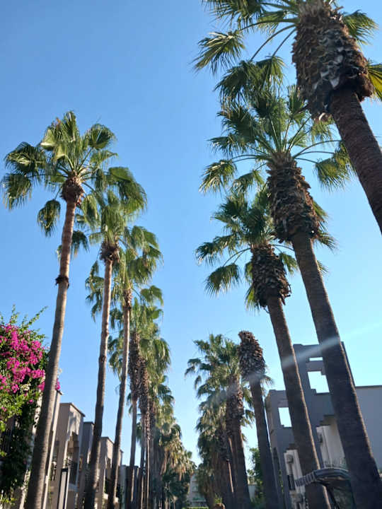 Gartenanlage VONRESORT Golden Beach