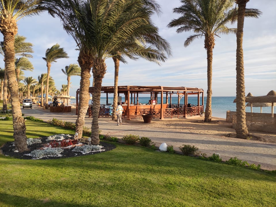 Gastro Palm Royale Resort - Soma Bay