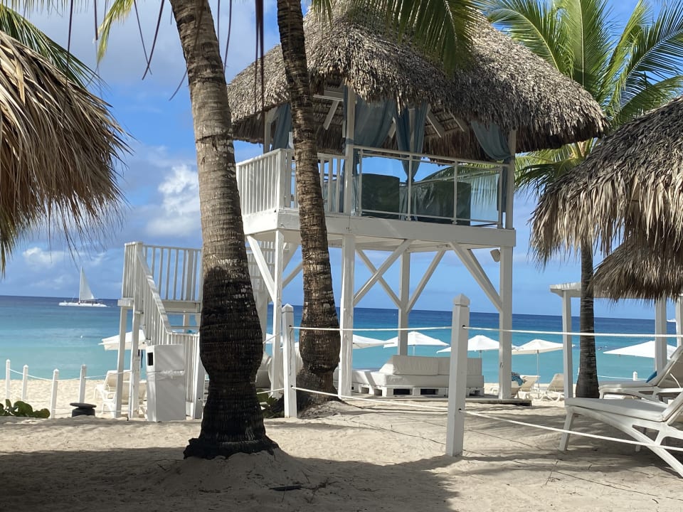 Strand Catalonia Royal La Romana - Adults only