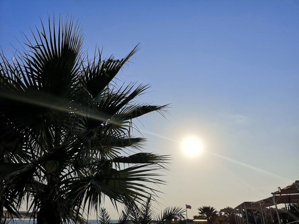 Ausblick Hotel Orfeus Park