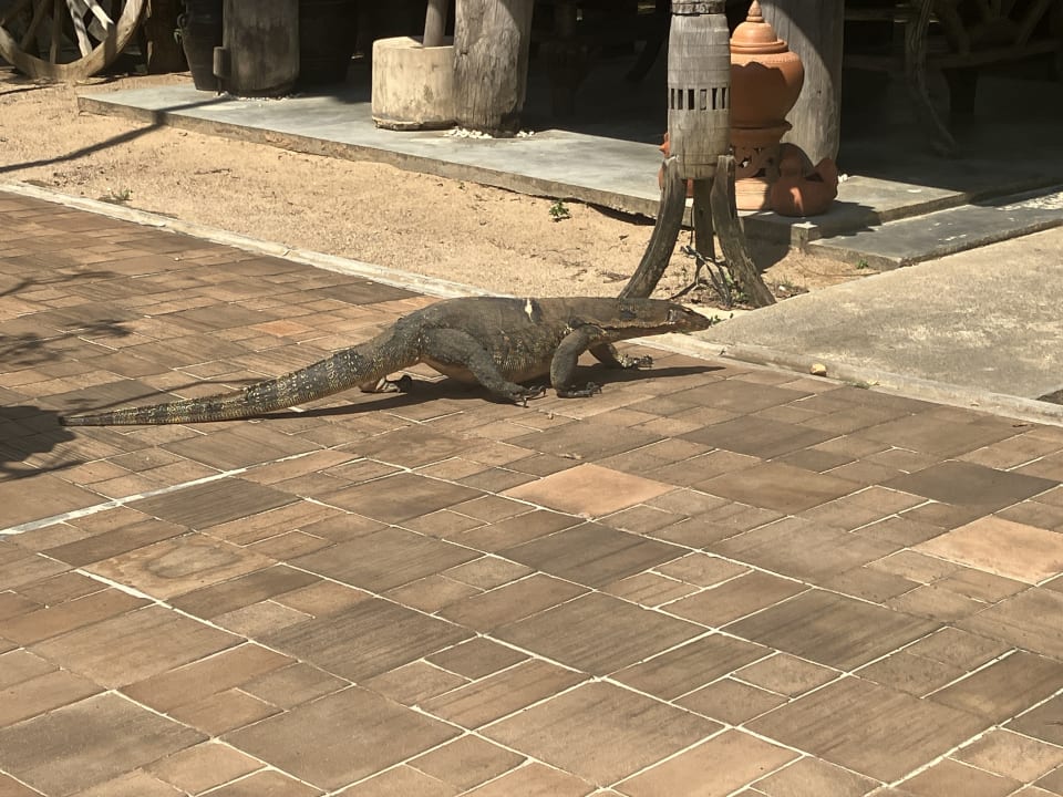 Gartenanlage Khaolak Laguna Resort