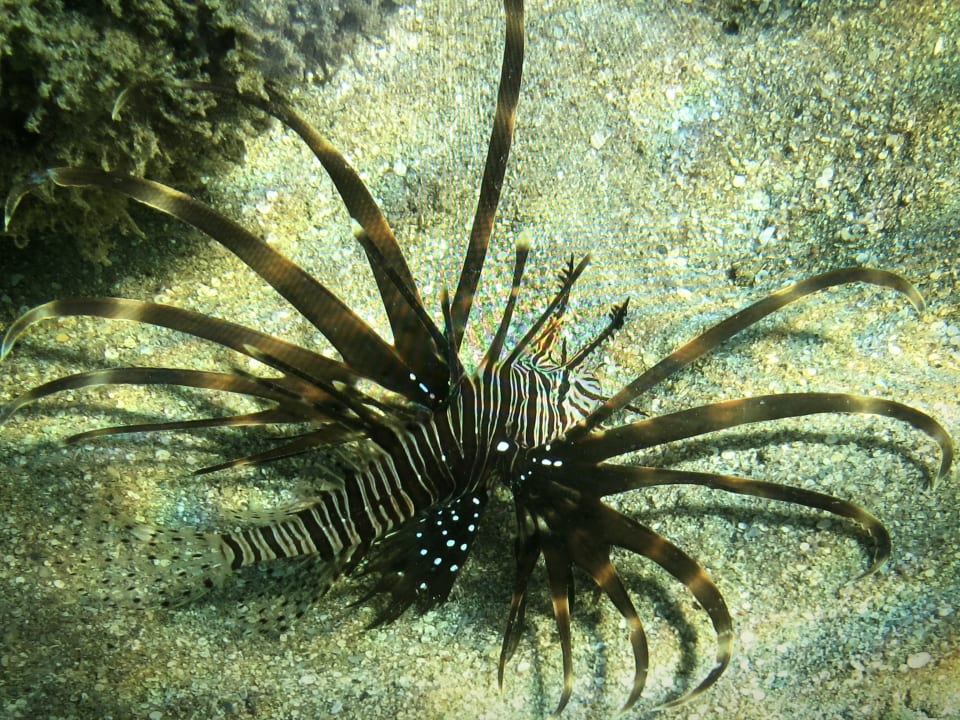 Strand Brayka Bay Resort