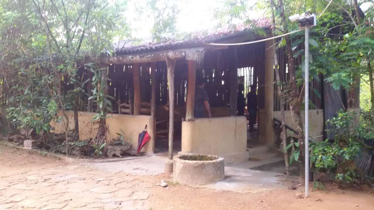 Essraum Sinharaja Seyana Eco Lodge
