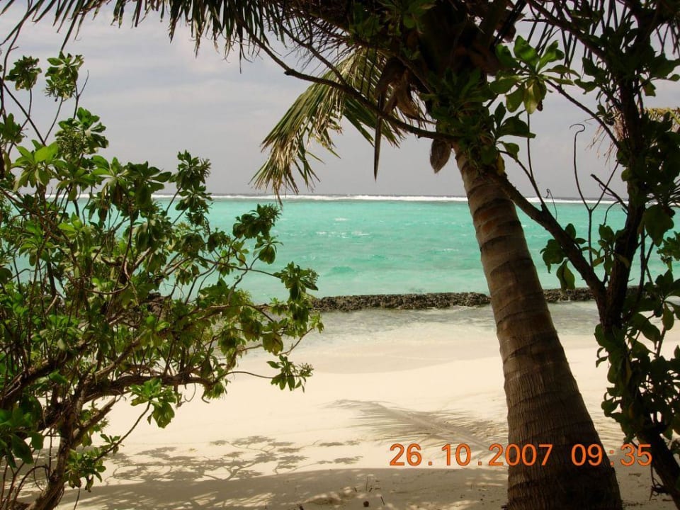 Unser Strand vor Bungi 71 Summer Island Maldives