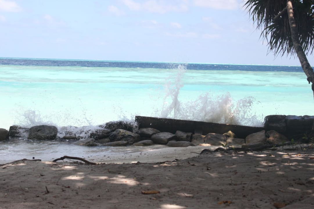 Wellenbrecher Vilamendhoo Island Resort & Spa