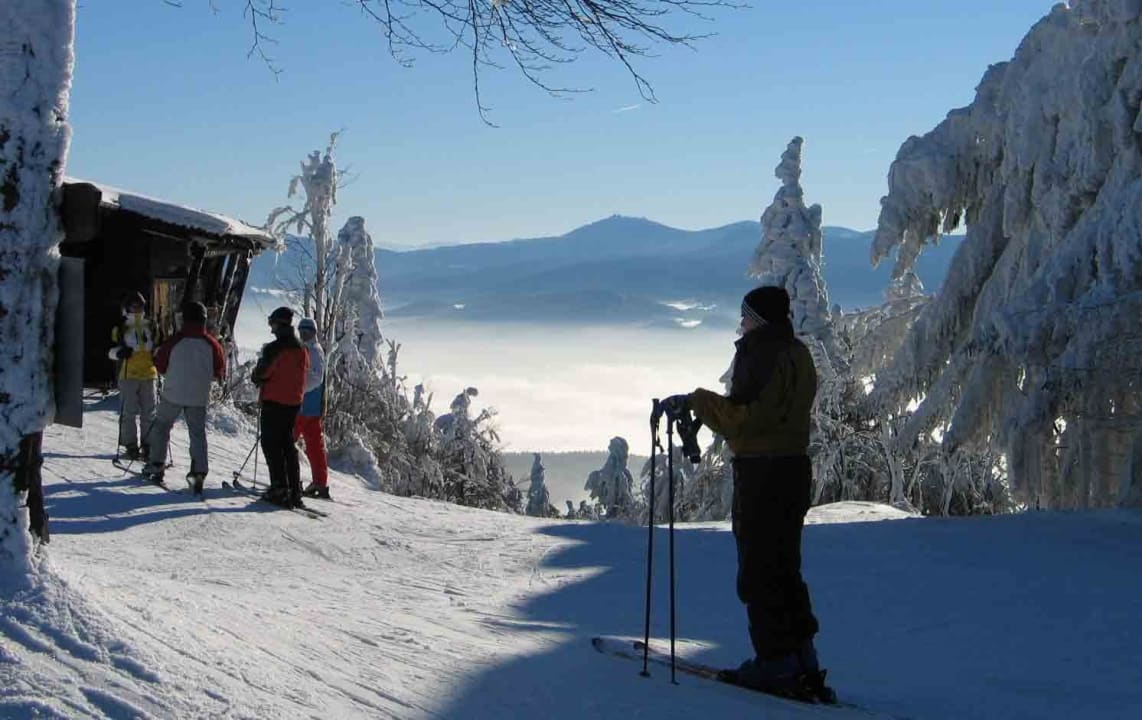 Arberblick-Berghaus-Hohenbogen Pension Schamberger