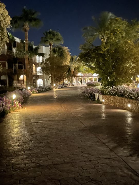 Außenansicht Desert Rose