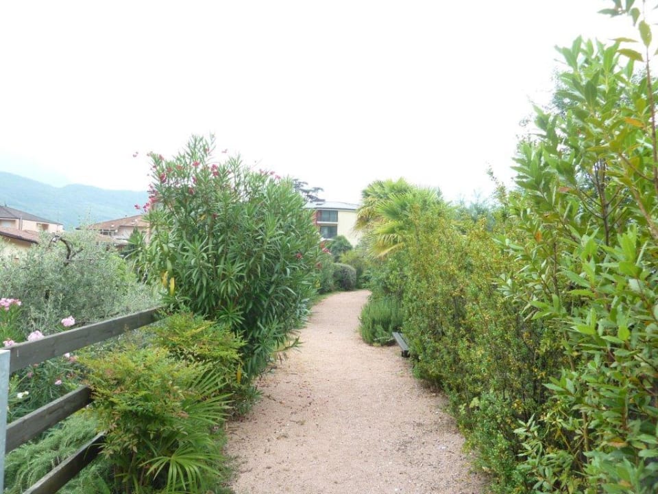 Hochweg vom Hotel zum Pool, neben dem Park. Astoria Resort