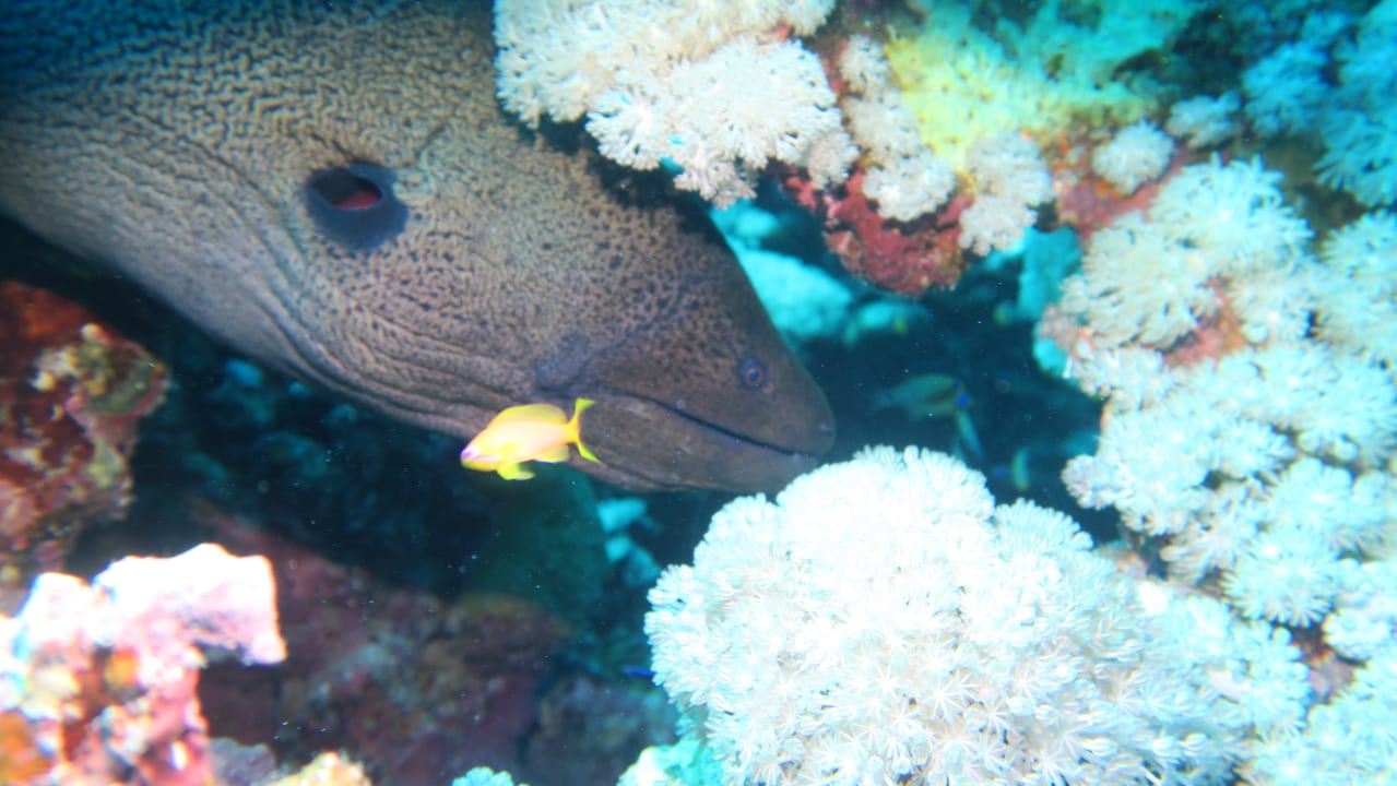 Sport & Freizeit Three Corners Equinox Beach Resort