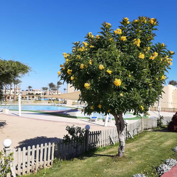 Außenansicht Cleopatra Luxury Resort Makadi Bay