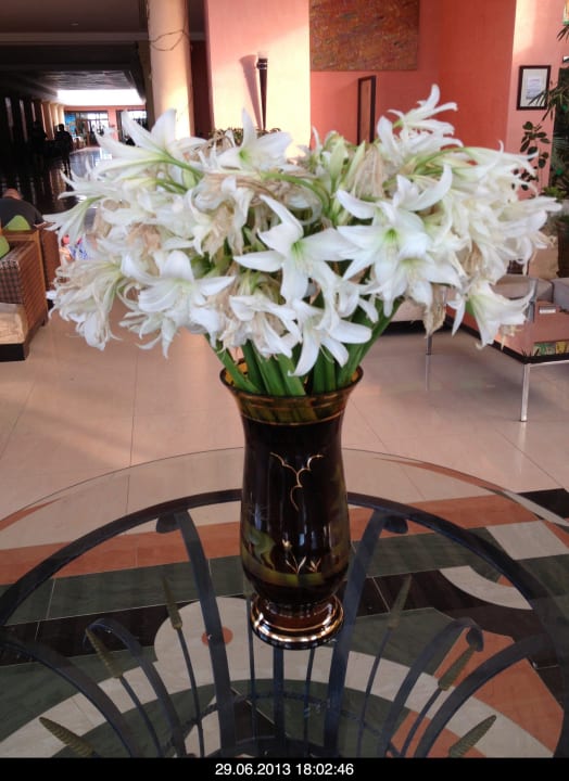 Immer frische Blumen Hotel Paradis Palace