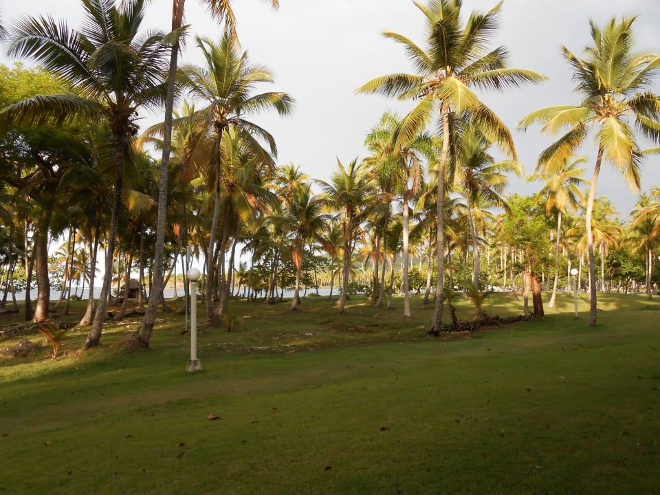 Vor unserer Terrasse Wyndham Alltra Samana