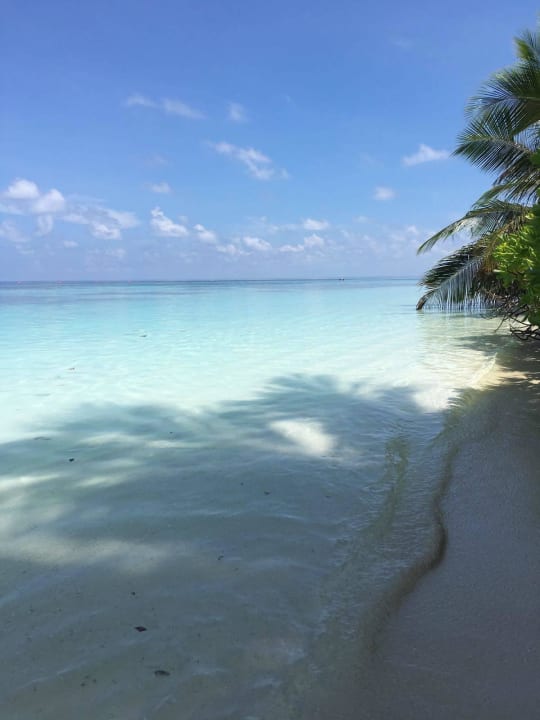 Strandabschnitt Tauchercenter Bandos Maldives