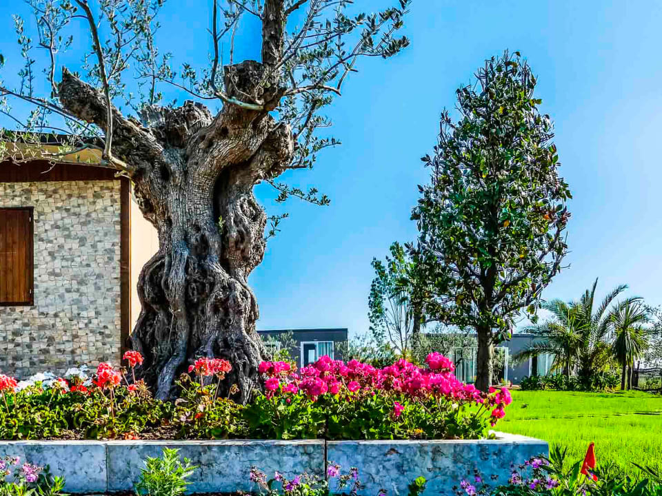 Sonstiges Agricampeggio Oasi del Garda