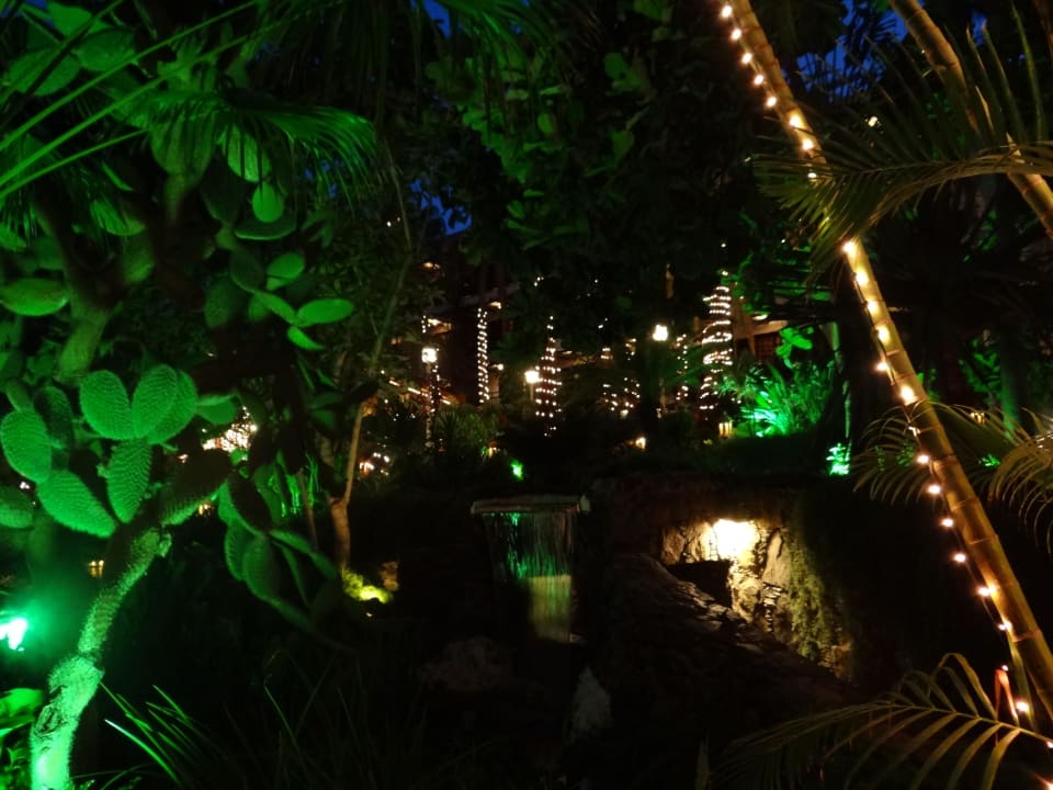 Garten bei Nacht Hotel Parque Tropical