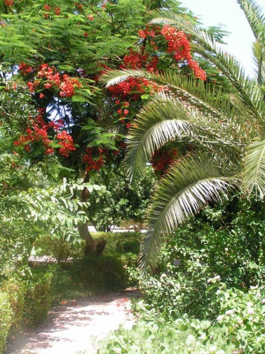 Hotelanlage Menaville Safaga