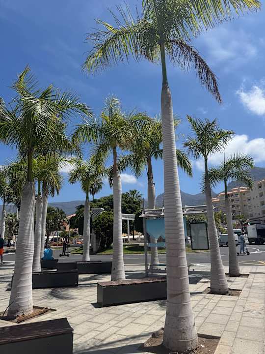 Außenansicht LABRANDA Bahía y Villas Fañabé