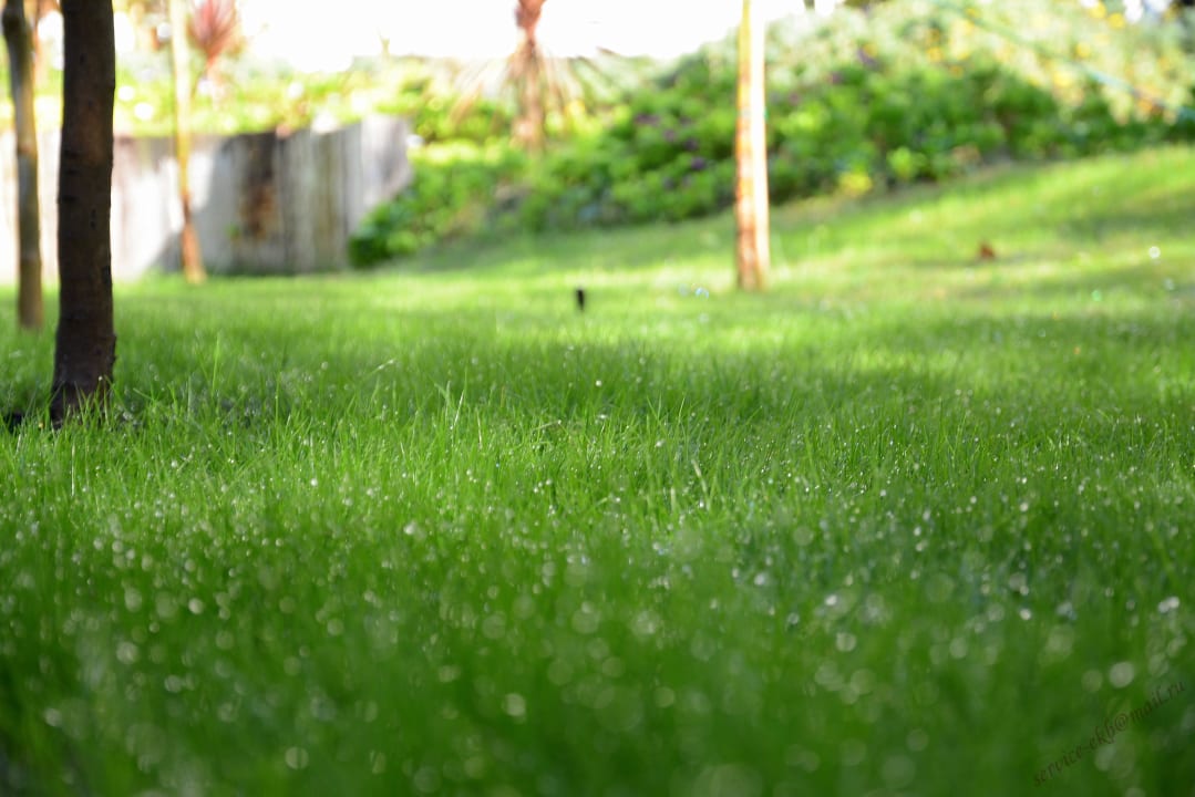 Delphin Imperial Hotel Delphin Imperial