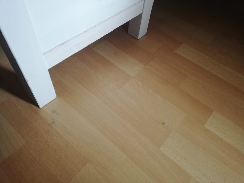 Zimmer Apartment Hockmannshof