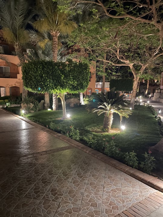 Gartenanlage Jaz Makadi Oasis Resort