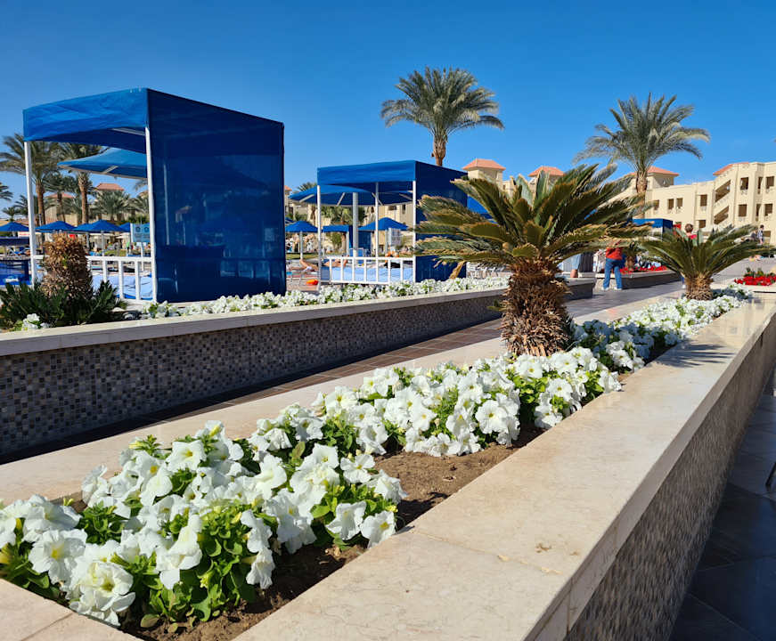 Ausblick Pickalbatros Aqua Vista Resort - Hurghada