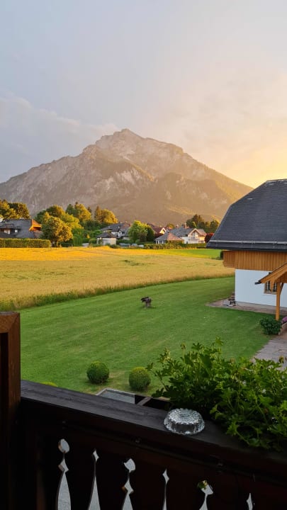 Ausblick Friesachers Aniferhof