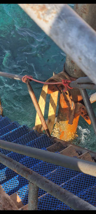 Strand Pickalbatros Sea World Resort - Marsa Alam