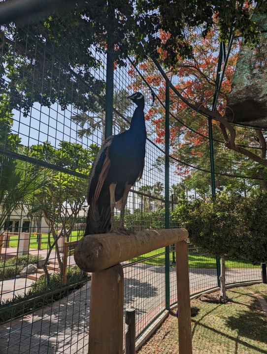 Sonstiges Grand Hyatt Dubai