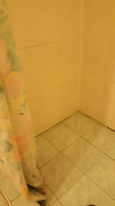 Zimmer Parkhotel Continental