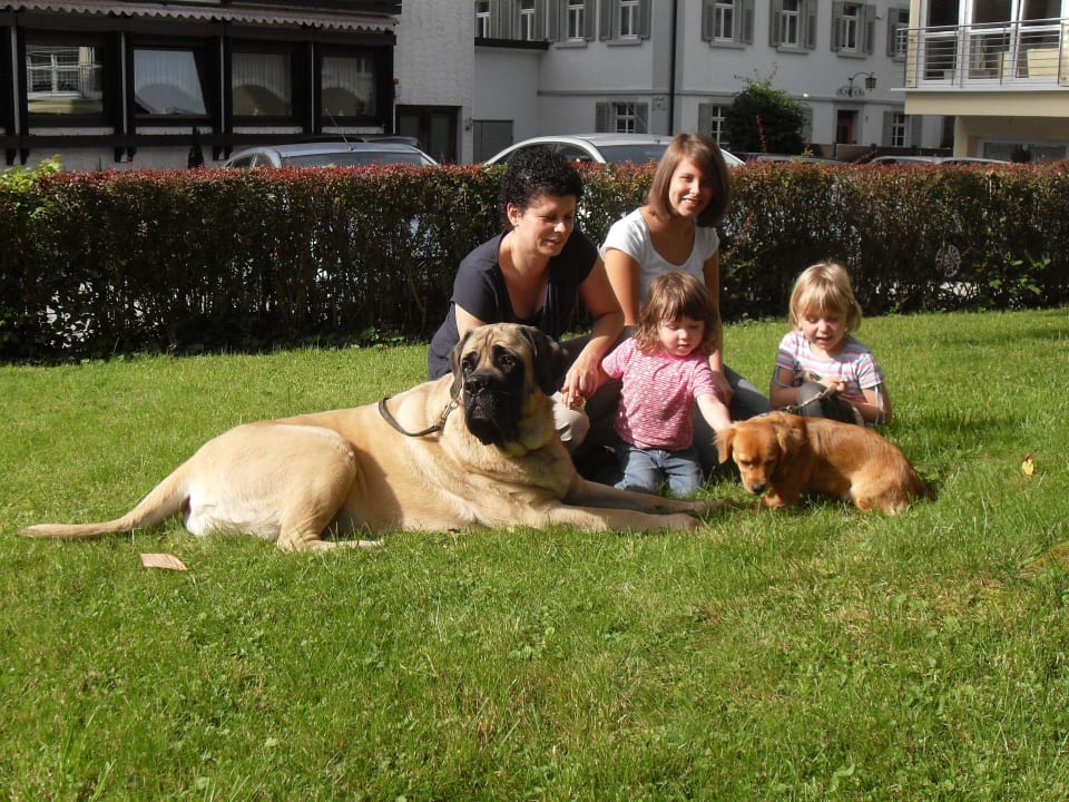 Familienhunde Diva und Lucy  Hotel Restaurant Hirsch