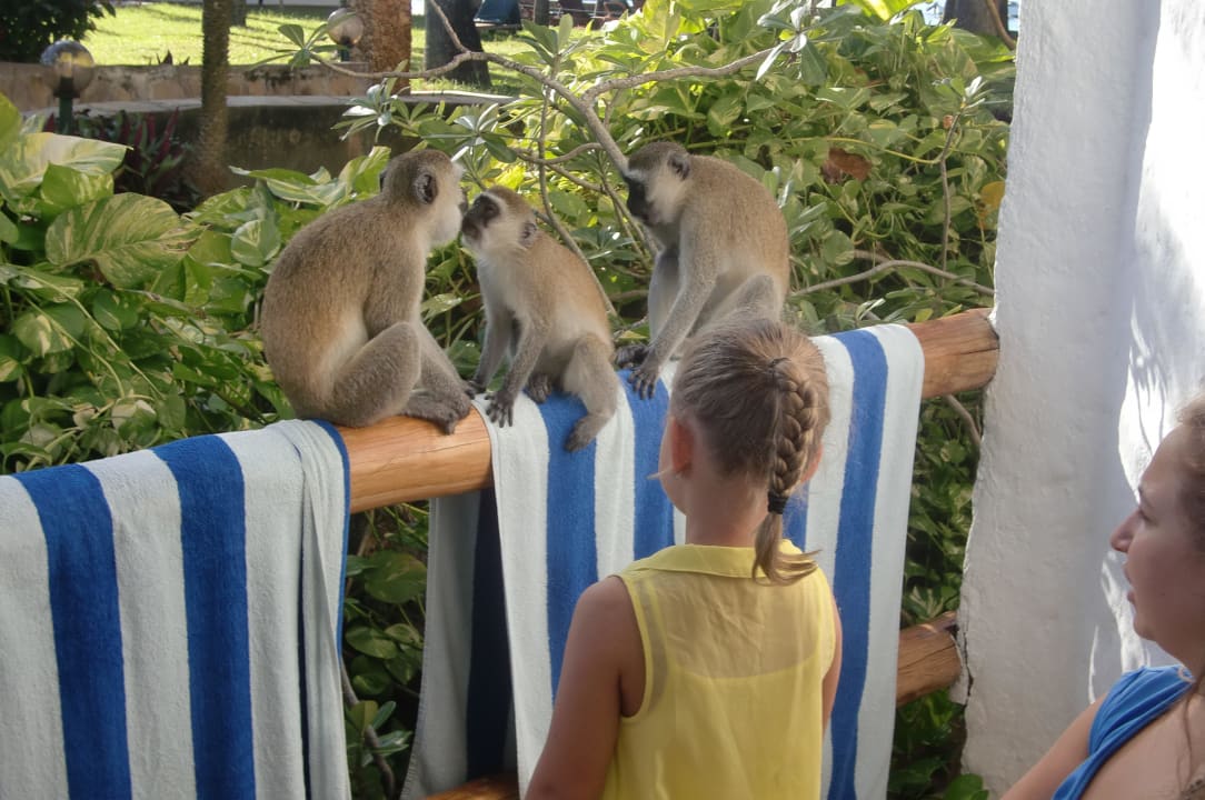 Balkon Travellers Beach Hotel & Club